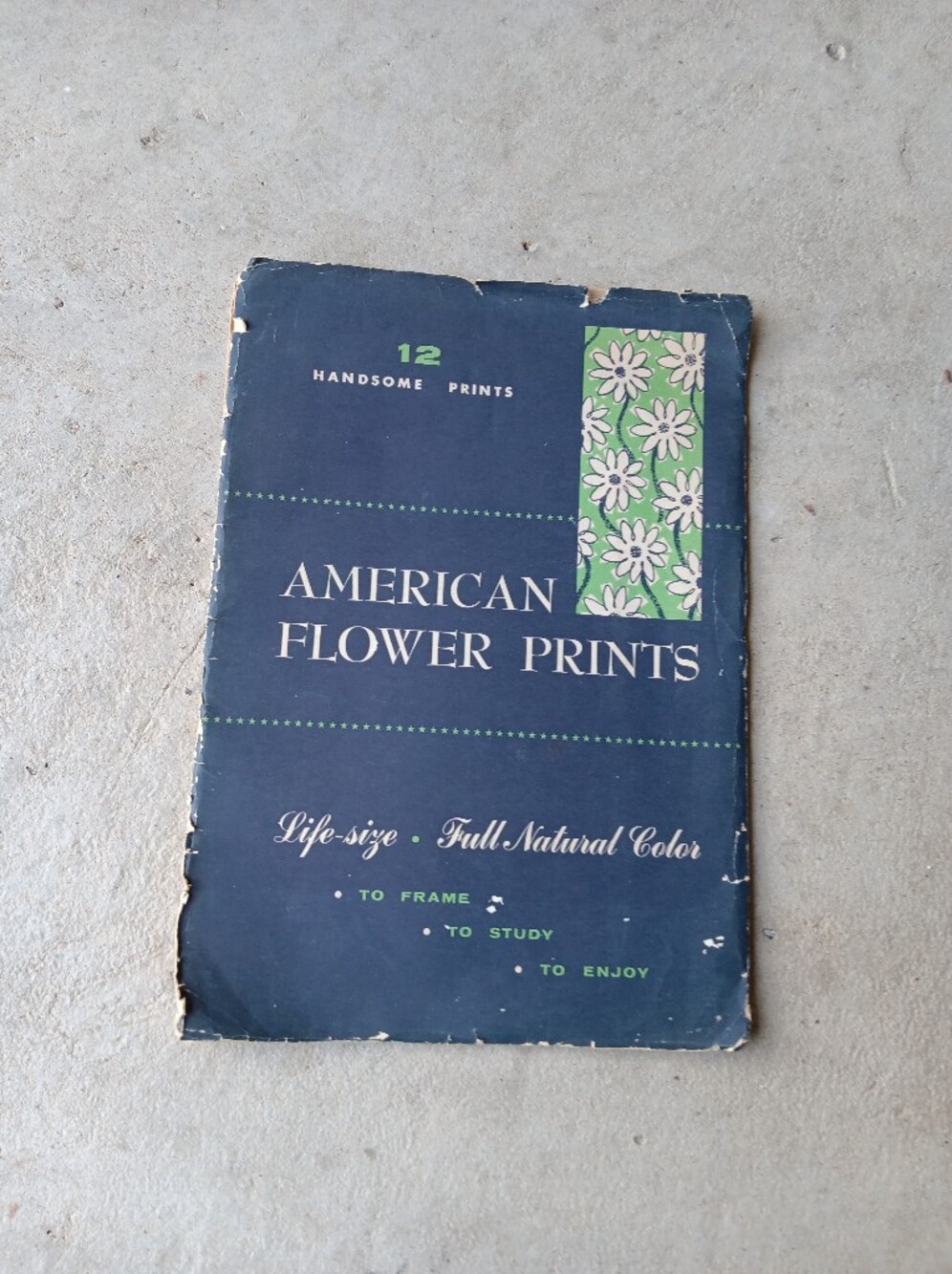 Antique Mary Walcott American Flower Prints Complete set of 12 Botanical Art